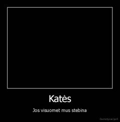 Katės - Jos visuomet mus stebina