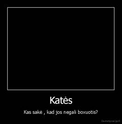 Katės - Kas sakė , kad jos negali boxuotis?