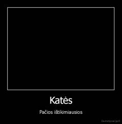 Katės - Pačios ištikimiausios
