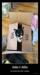 Katės ir dėžės - yra tas pats kas duoda ir sviestas.