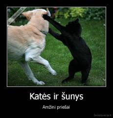 Katės ir šunys - Amžini priešai