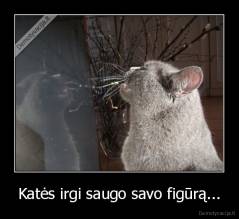 Katės irgi saugo savo figūrą... - 