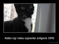 Kates irgi viska supranta zvilgsnis OMG - 