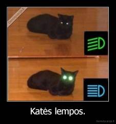 Katės lempos. - 