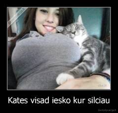 Kates visad iesko kur silciau - 