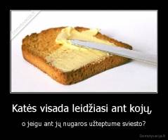 Katės visada leidžiasi ant kojų,  - o jeigu ant jų nugaros užteptume sviesto?