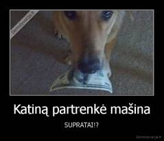 Katiną partrenkė mašina - SUPRATAI!?