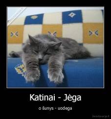 Katinai - Jėga - o šunys - uodega