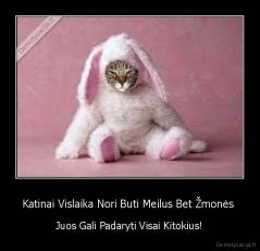 Katinai Vislaika Nori Buti Meilus Bet Žmonės  - Juos Gali Padaryti Visai Kitokius!