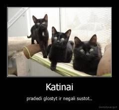Katinai - pradedi glostyt ir negali sustot..