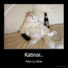 Katinai.. - Atejo jų laikas