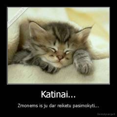 Katinai... - Zmonems is ju dar reiketu pasimokyti...