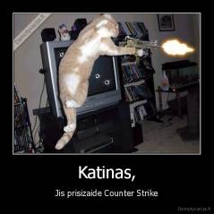 Katinas, - Jis prisizaide Counter Strike
