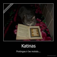 Katinas - Protingas ir be mokslu...