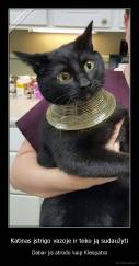 Katinas įstrigo vazoje ir teko ją sudaužyti - Dabar jis atrodo kaip Kleopatra