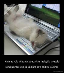 Katinas - jis visada pradeda tau maisytis priesais - kompiuteriaus ekrana kai buna pats zaidimo veikmas