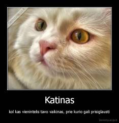 Katinas - kol kas vienintelis tavo vaikinas, prie kurio gali prisiglausti
