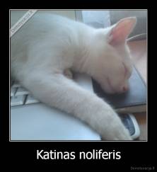 Katinas noliferis - 