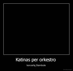 Katinas per orkestro  - koncertą Stambule 