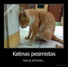 Katinas pesimistas - koks gi aš bukas...
