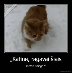 „Katine, ragavai šiais - metais sniego?“