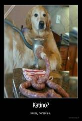 Katino? - Nu ne, nemačiau..