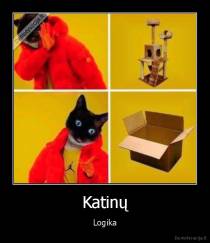 Katinų - Logika