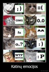 Katinų emocijos - 