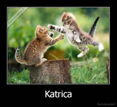 Katrica - 