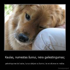 Kaulas, numestas šuniui, nėra gailestingumas; - gailestingumas tai kaulas, kuriuo dalijiesi su šunimi, kai esi alkanas ne mažiau