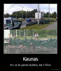 Kaunas - Kur ne tik gatvės skylėtos, bet ir fūros