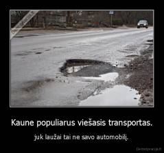 Kaune populiarus viešasis transportas. - juk laužai tai ne savo automobilį.