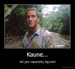 Kaune... - net jam nepavyktų išgyvent