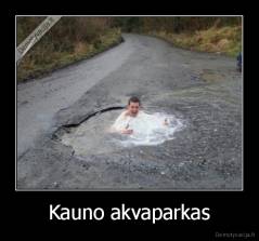 Kauno akvaparkas - 