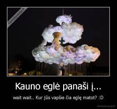 Kauno eglė panaši į... - wait wait.. Kur jūs vapšie čia eglę matot? :D