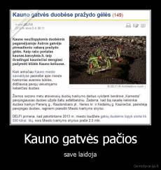 Kauno gatvės pačios - save laidoja