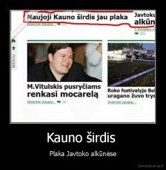 Kauno širdis  - Plaka Javtoko alkūnėse