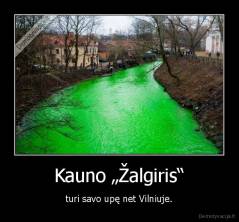 Kauno „Žalgiris“ - turi savo upę net Vilniuje.