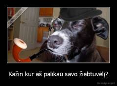 Kažin kur aš palikau savo žiebtuvėlį? - 