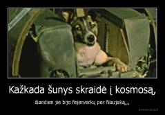Kažkada šunys skraidė į kosmosą, - šiandien jie bijo fejerverkų per Naujaką,,,