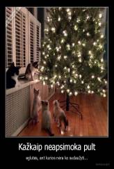 Kažkaip neapsimoka pult - eglutės, ant kurios nėra ko sudaužyti...