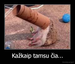 Kažkaip tamsu čia... - 