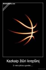 Kazkaip žiūri krepšinį - Ir nėra jokios ugnelės ...