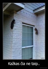 Kažkas čia ne taip.. - 