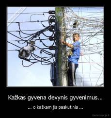 Kažkas gyvena devynis gyvenimus... - ... o kažkam jis paskutinis ...