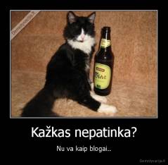 Kažkas nepatinka? - Nu va kaip blogai..