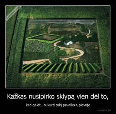 Kažkas nusipirko sklypą vien dėl to, - kad galėtų sukurti tokį paveikslą pievoje