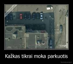 Kažkas tikrai moka parkuotis - 