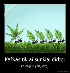 Kažkas tikrai sunkiai dirbo. - už tai gaus gerą atlygį.