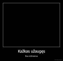 Kažkas užaugęs - Bus inžinierius